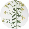 Astier de Villatte Plates<Genista Plate
