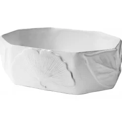 Astier de Villatte Platters/Salad Bowls & Stands<Ginkgo Bowl