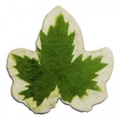 Astier de Villatte Platters/Salad Bowls & Stands<Leaf Platter 58