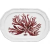 Astier de Villatte Platters/Salad Bowls & Stands<Red Seaweed Platter